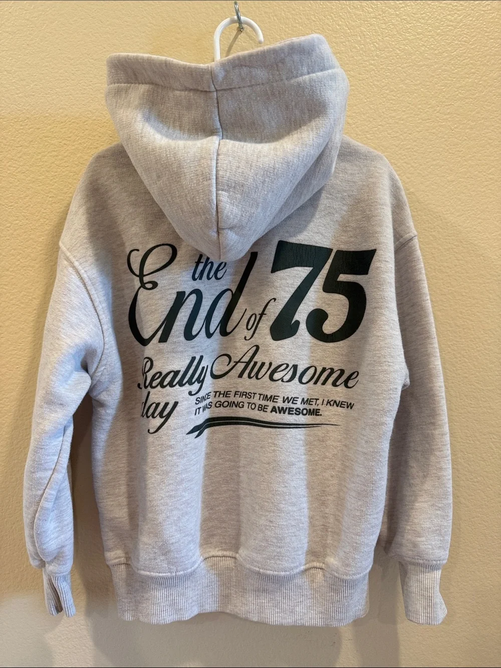 Zara Light Gray Kids Hoodie with Chest Graphic